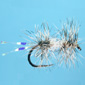 large product photo